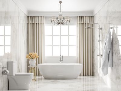 Elegant Bathtub Designs